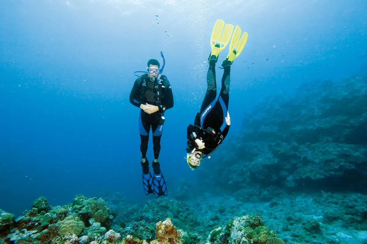 Divers practising buoyancy and positioning during professional level training Divers practising buoyancy and positioning during professional level training