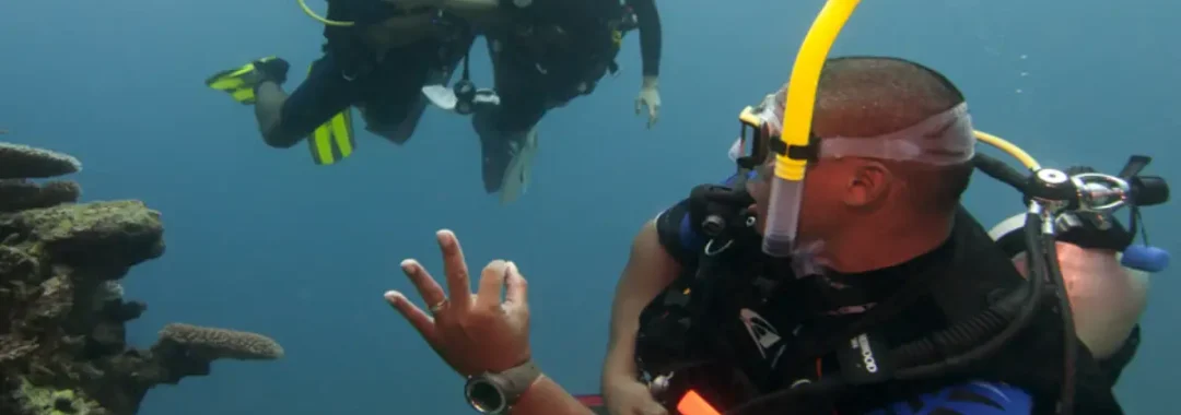Life as a PADI Divemaster – Work, Lifestyle, and Reality