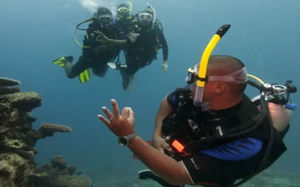 Life as a PADI Divemaster – Work, Lifestyle, and Reality