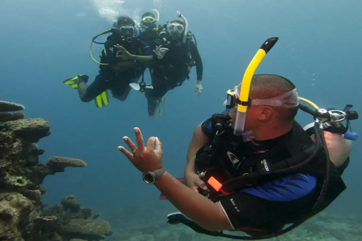Life as a PADI Divemaster – Work, Lifestyle, and Reality