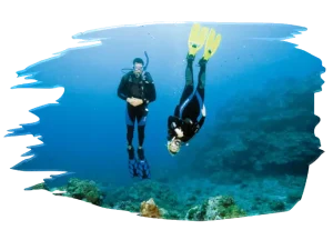 From Recreational Diver to Professional